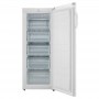 Goddess | GODFSD0142TW8AF | Freezer | Energy efficiency class F | Free standing | Upright | Height 142 cm | Total net capacity 1 - 3